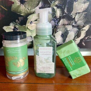 NEW 3-Pc Eucalyptus + Spearmint Steamers, Hand Soap & Cleansing Soap BBW